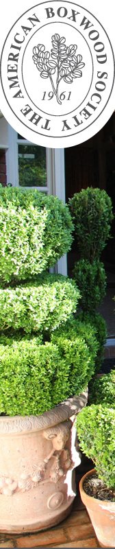 The American Boxwood Society