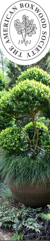 The American Boxwood Society