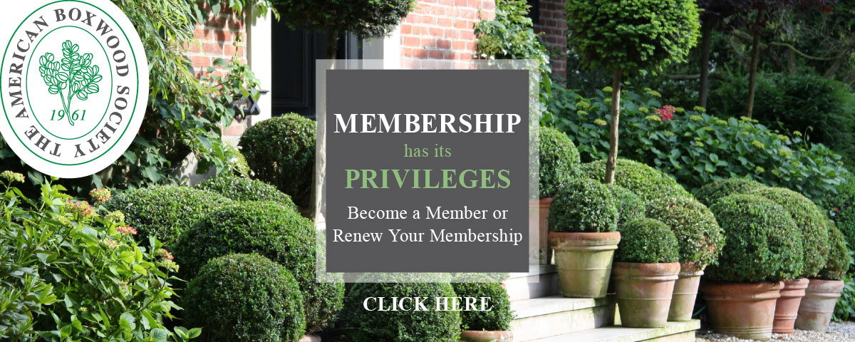 Become a Member